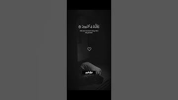 ﴿ وَتَوَكَّلْ عَلَى الْعَزِيزِ الرَّحِيمِ ﴾ سورة الشعراء | آية رقم 217 | القارئ عبد الرحمن مسعد