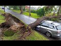 Dangerous Tree Cutting Fails With Chainsaw, Extreme Large Tree Falling On Car Pathetic