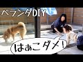 ベランダDIYしてたら２歳娘が柴犬に「ダメ！」と注意していた｜犬と子供のvlog