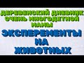 ДЕРЕВЕНСКИЙ ДНЕВНИК очень многодетной мамы. Мать героиня. ЭКСПЕРИМЕНТЫ на животных