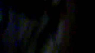 Una Puta Abejita Xddd