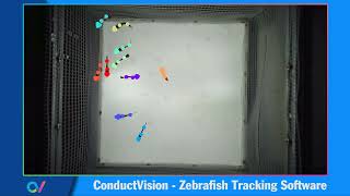 ConductVision: Introducing Our Zebrafish Tracking Software