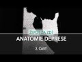 Anatomie deprese 2 st