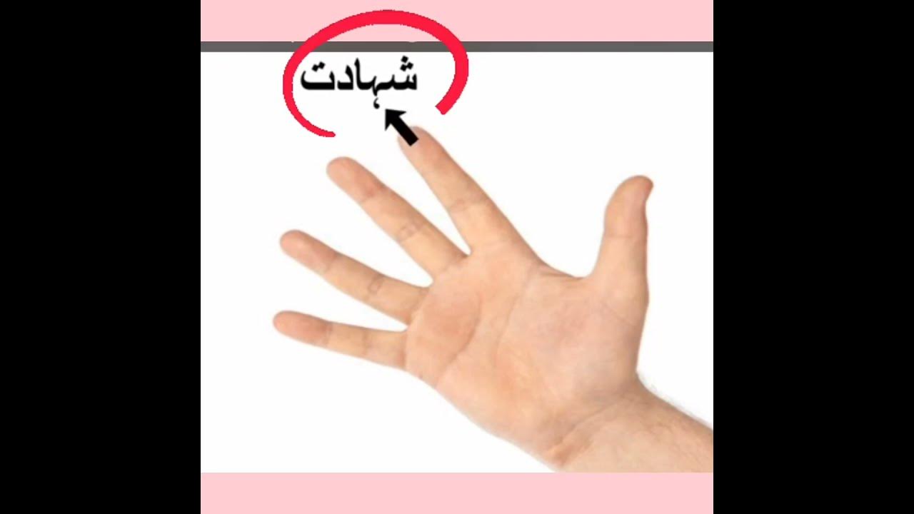 names-of-fingers-in-islam-youtube