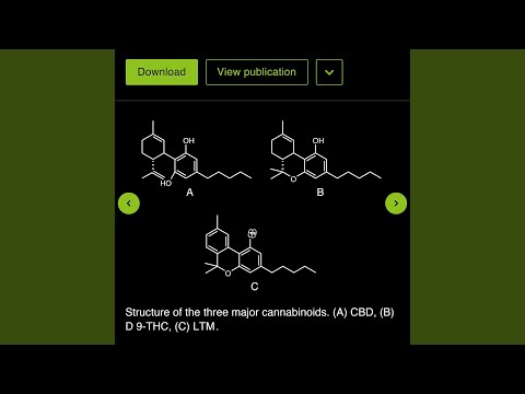 CBD (feat. Ohsaka) (THC Remix)