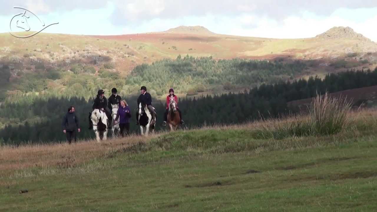 Liberty Trails Riding Holidays on Dartmoor