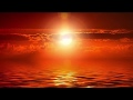 【歌ってみた】素晴らしき紅マグロの世界