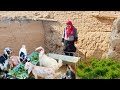 Cooking traditional village food   rural cuisine in iran