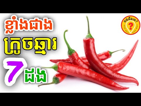 Advantages of Chilli pepper for human health អត្ថប្រយោជន៍របស់ម្ទេស