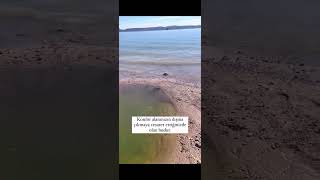 Konfor alanınızın dışına çıkın ve görün 🙂‍↔️ #shorts #fish