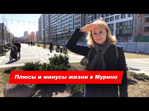 Плюсы и минусы жизни в Мурино