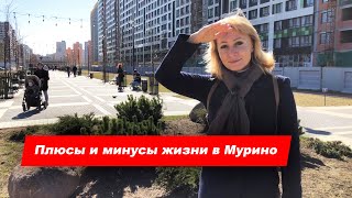 Плюсы и минусы жизни в Мурино