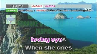 (19234) When She Cries - Restless Heart (Karaoke Version) 4K UHD (Minus One)