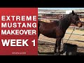 Wild Mustang Challenge Week 1 Extreme Mustang Makeover 2017 (Pt. 1 of 14)