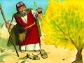 Wednesday Night Bible Study: Angel of  the LORD