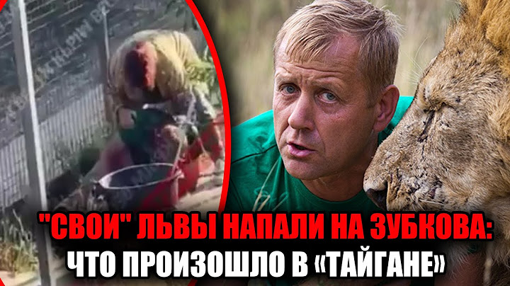 Трагедия в парке Тайган лев перегрыз горло самому владельцу  Олег Зубков в тяжёлом состоянии под ИВЛ