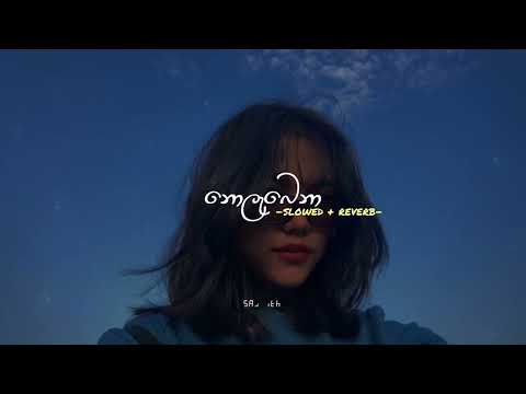 Nolabena | නොලැබෙනා ( Slowed + Reverb)@SaJJaA