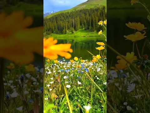 ROZAVIN Вдалині за селом Official Audio