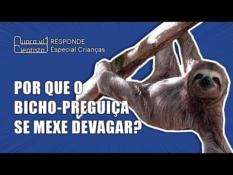 Vídeo: Por que as preguiças se movem tão devagar?