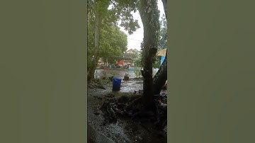 Thumbnail of Hujan Gerimis By Benyamin S dan Ida Royani @gurubangsa9617