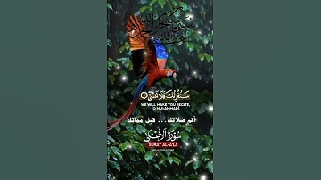 تلاوة خاشعة عطرة مباركة جميلة عذبة للشيخ ماهر المعيقلي ماتيسر من سورة الأعلى