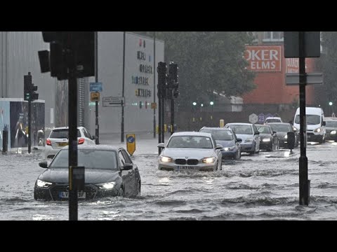 Видео: Хайн Муцушима Байгалийн түүхийн музей биш