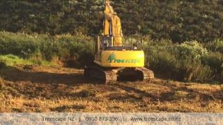 Making Light Work of Huge Gorse Bushes