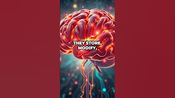 Variables in Programming - A Sip of AI