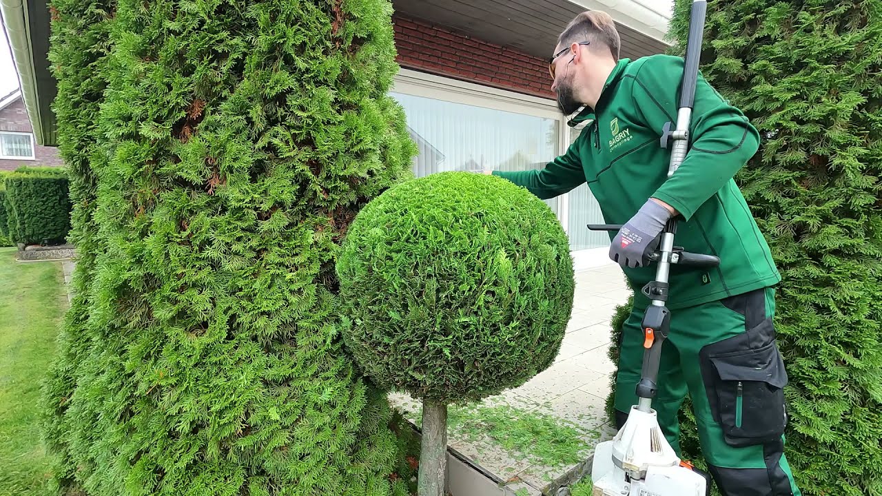 ⁣Kustorez. How to make Topiary Ball