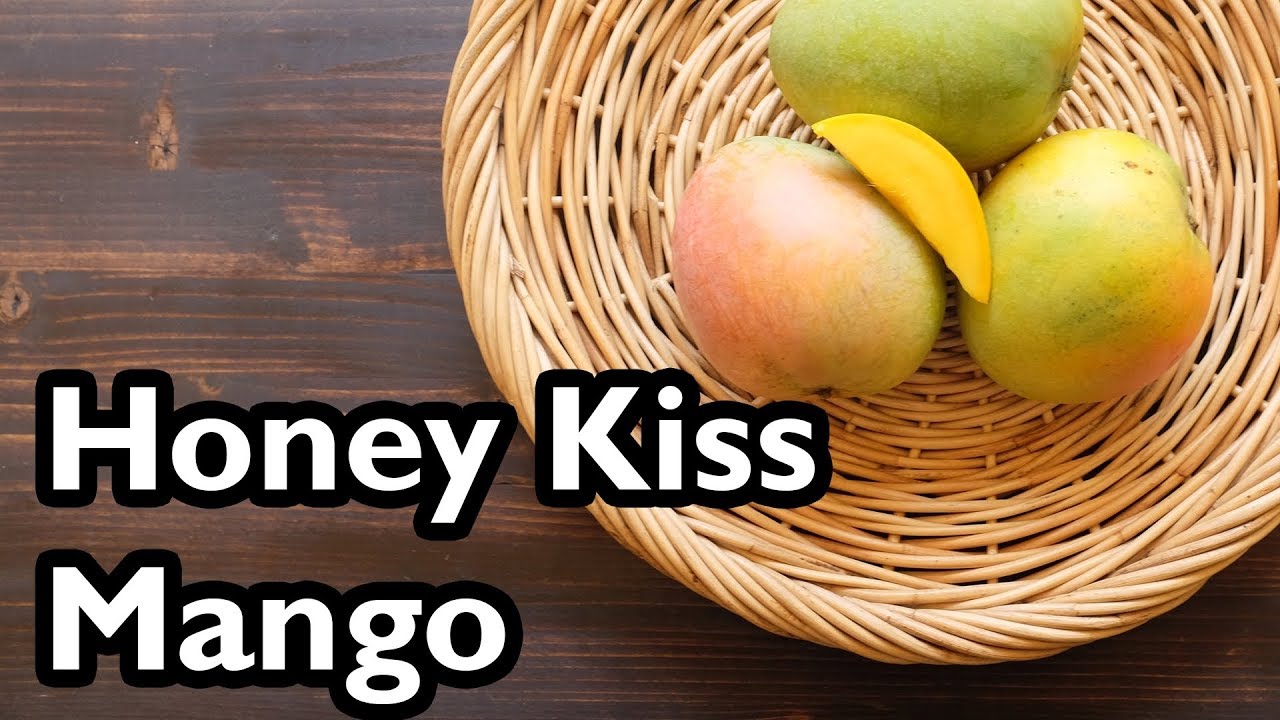 What Is a Honey Mango?