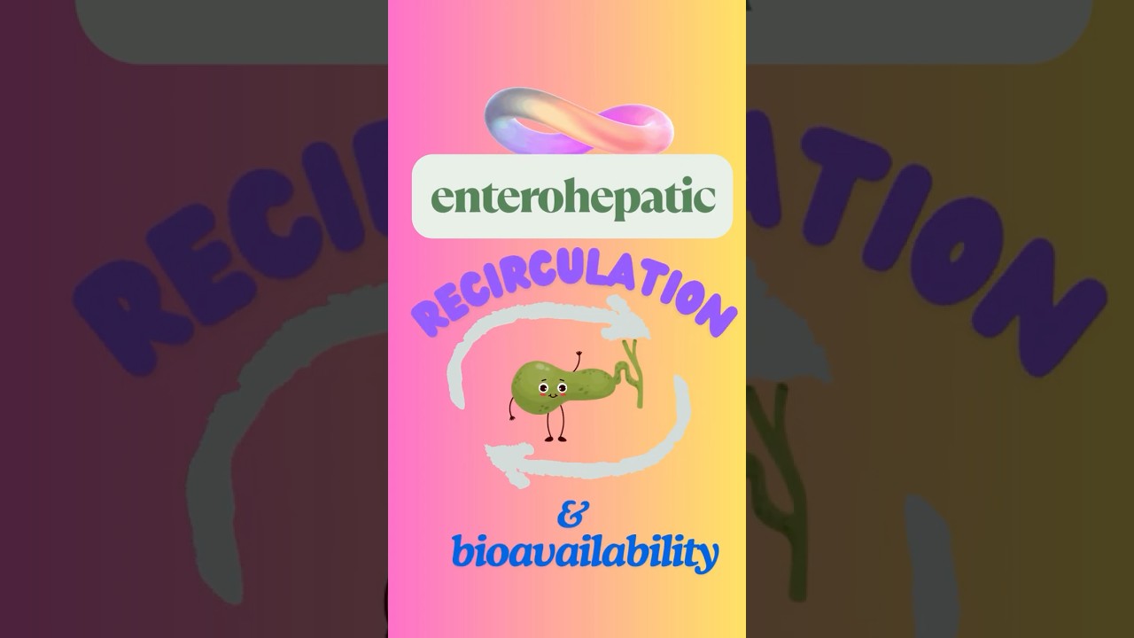 Enterohepatic Recirculation & Drug Bioavailability 