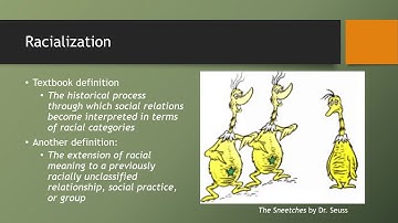 Online Lecture Race and Ethnicity in Politics
