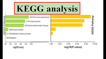 KEGG analysis #kegg database  #genomewidestudy