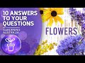 Tips for growing flowers  your questions our answers  gardening australia