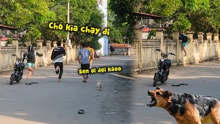 Giả Tiếng Chó Troll Người Đi Đường Và Cái Kết Cười Đau Bụng | Hào Gusu Troll screenshot 2