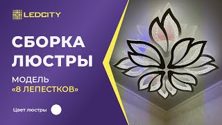 : LEDCITY:      "8 " |# #ledcity