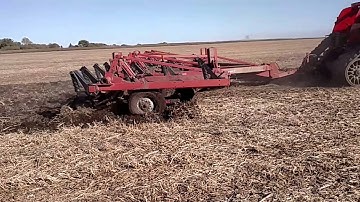 Case IH Chisel plow