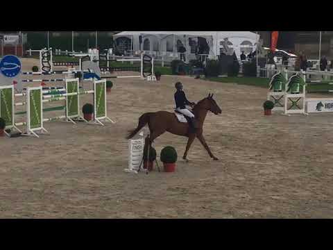 VITOT 9yo DIAMANT de SEMILLY csi 2** Moorsele