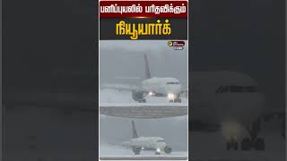 பனபபயலல பரதவககம நயயரக New York Climate Ptd
