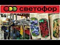 СВЕТОФОР КРУТЫЕ НОВИНКИ ДЛЯ ДАЧИ И ДОМА