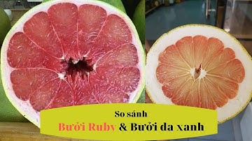 So sánh Bưởi Ruby Thái Lan và Bưởi Da Xanh Việt Nam - SIÊU THỊ CÂY GIỐNG