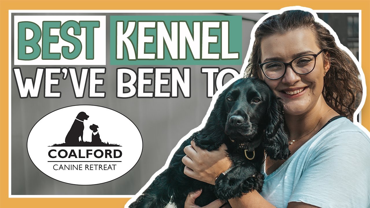 BEST KENNEL EXPERIENCE FOR YOUR DOG Why Coalford Canine Retreat is