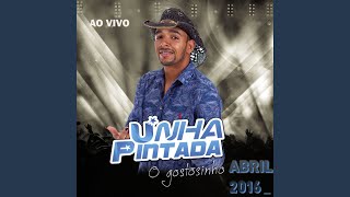 Video thumbnail of "Unha Pintada - Saudade"