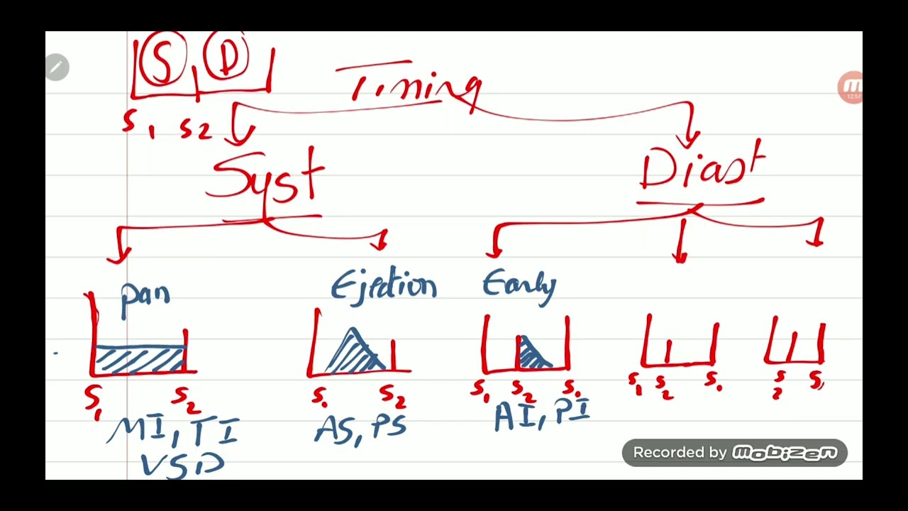 cardiac examination 2 comment on murmurs