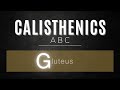 Das Calisthenics ABC: G - Gluteus