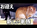 【お知らせ】新しい家族をお迎えしました