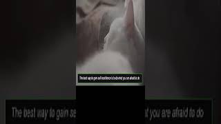 The Secret Of Success Is Determened By Your Daily Agendat