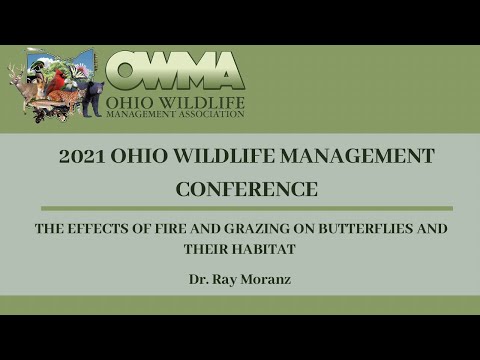 The Effects of Fire and Grazing on Butterflies and Their Habitat