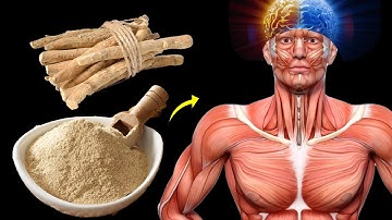 What Happens When You Start Taking The Most Powerful Adaptogen Herb - Ashwagandha Every Week