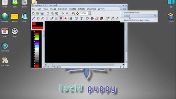 Puppy Linux 5.0